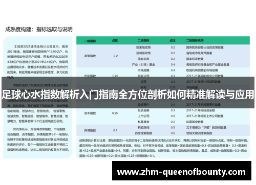 足球心水指数解析入门指南全方位剖析如何精准解读与应用 足球心水指数解析入门指南全方位剖析如何精准解读与应用