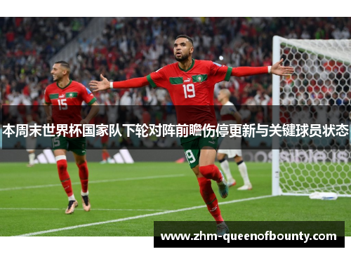 本周末世界杯国家队下轮对阵前瞻伤停更新与关键球员状态